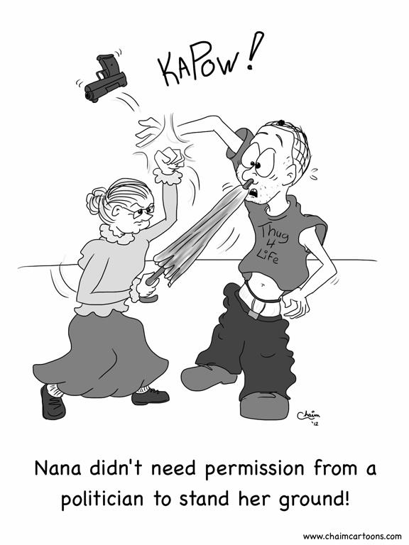 Image result for CARTOONS ON STAND YOUR GROUND LAWS