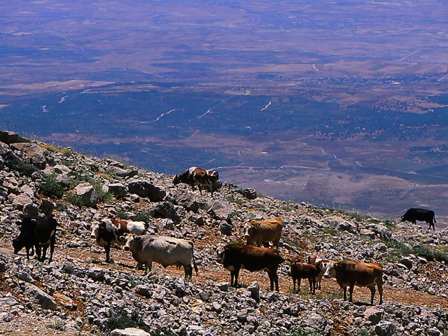 Golan Heights-Mount Hermon