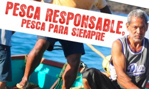costa rica fishermen's cooperative pescaresposablepara-siempre