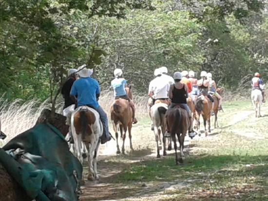 COSTA RICA horseback-riding-tourHORSEBACK RIDING TOUR GUANACASTE PROVINCE COSTA RICA VOLCANOES