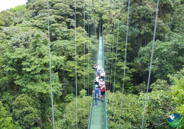 COSTA RICAN SUSPENSION BRIDGE
