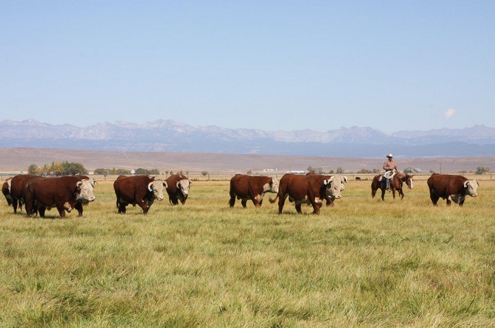OREGON RANCH harrell2014-02
