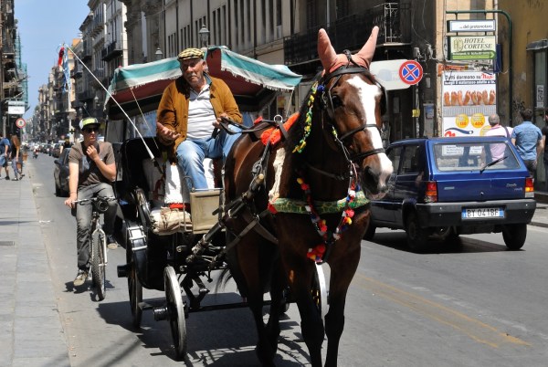 Palermo_Sicily_Horse_carriage