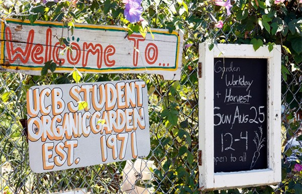 education best student organic garden soga2