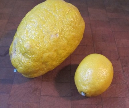Sicilian lemon v the rest of the world